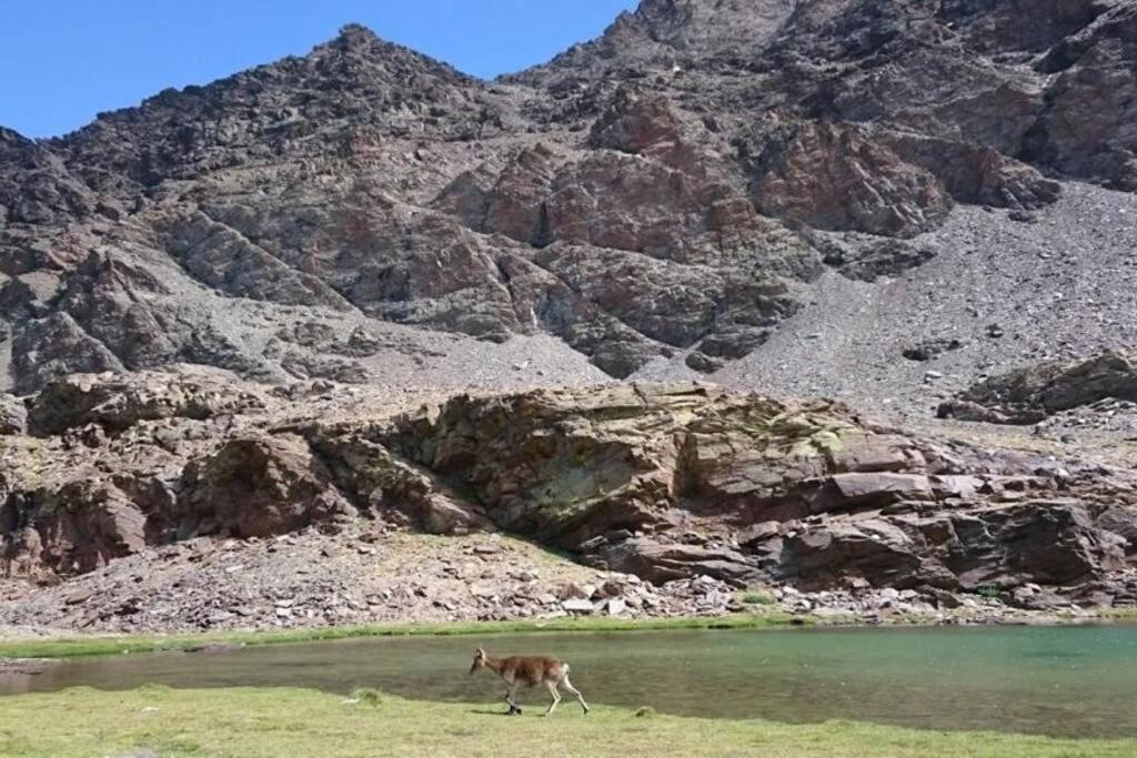 Casa La Solea. Vistas Al Pueblo Y La Sierra Villa Bubión Kültér fotó